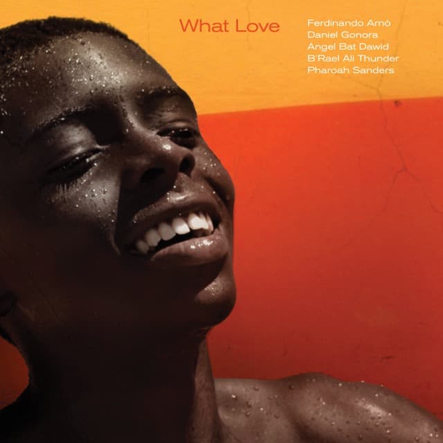 Poster of Single What Love